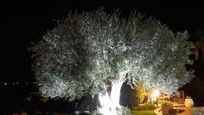 Property grounds - The Wave, Sampieri, 2 minutes from the sea, villa with pool. (Sicilia)