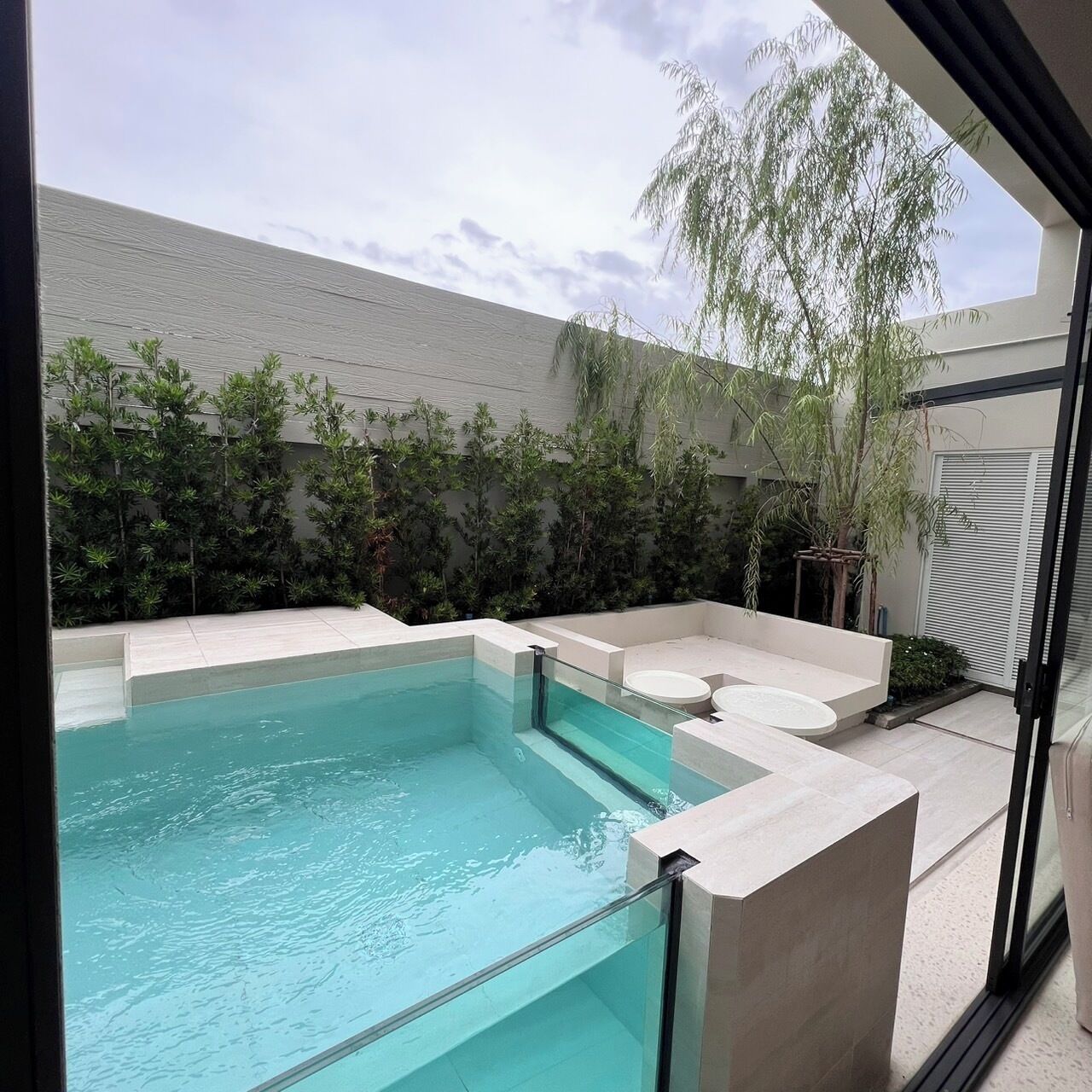 A modern outdoor swimming pool with a glass barrier, surrounded by a low hedge and a white wall.