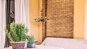 Una habitación con un sofá blanco, una mesita de mimbre y dos plantas en macetas.