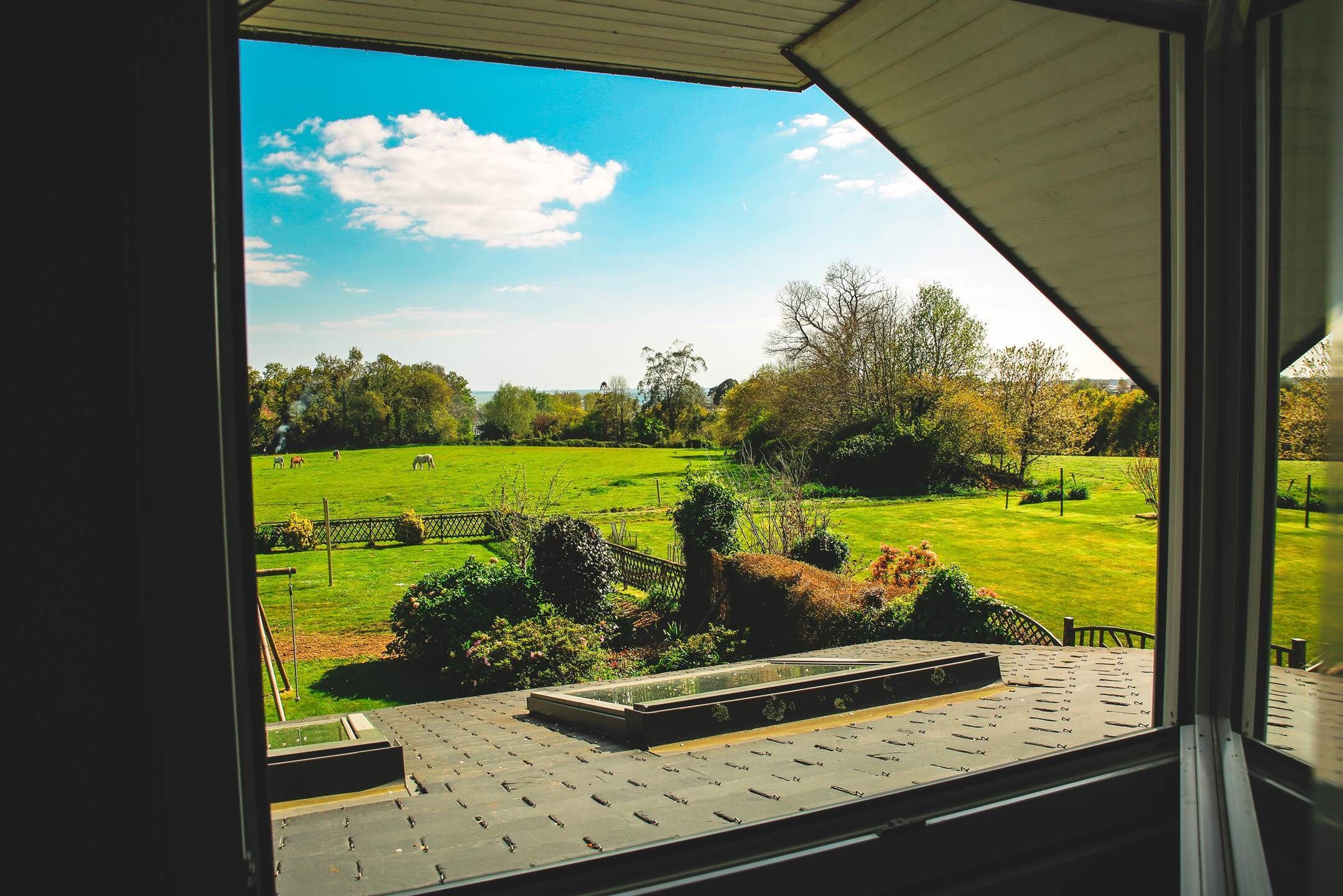 Uitzicht vanuit een kamer met een groot raam op een groen veld met bomen en een heldere lucht.