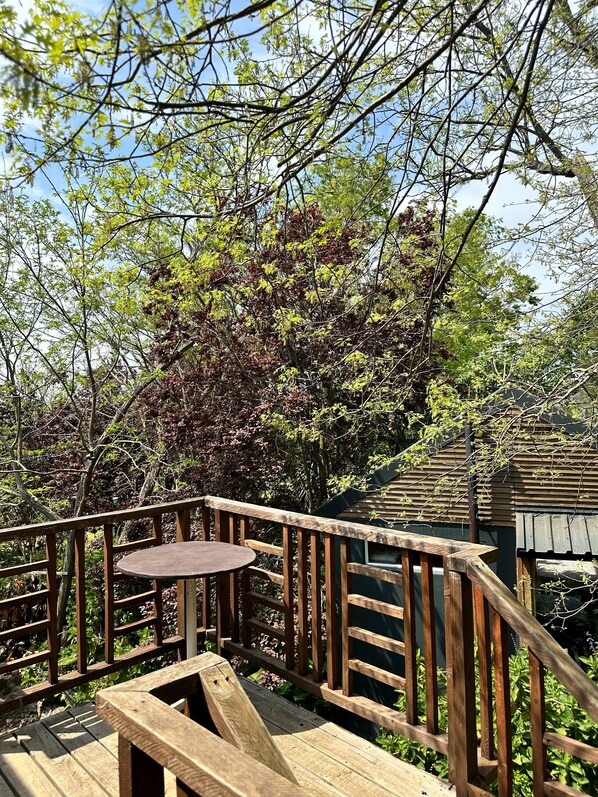 Garden - Rose Cottage, Elgin Grabouw (Grabouw)
