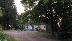 Ein rustikales Haus, zu dem ein Feldweg durch Bäume hinaufführt.