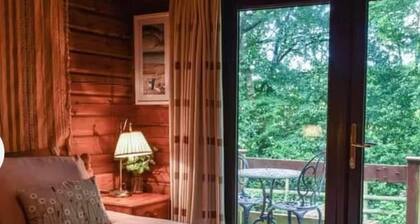 Secluded Lodge Escape in Bradworthy North Devon