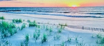 Charming Beach Cottage in Timeless Rehoboth Beach, under 5 min to Boardwalk!