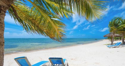 You'So Breezy: New Beach House w/ Pool, & Backyard Snorkeling! Next to Ocean Frontiers