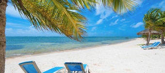You'So Breezy: New Beach House w/ Pool, & Backyard Snorkeling! Next to Ocean Frontiers