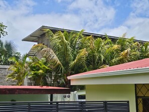 A residential area with a house featuring a red roof and a green wall, surrounded by lush palm trees.
