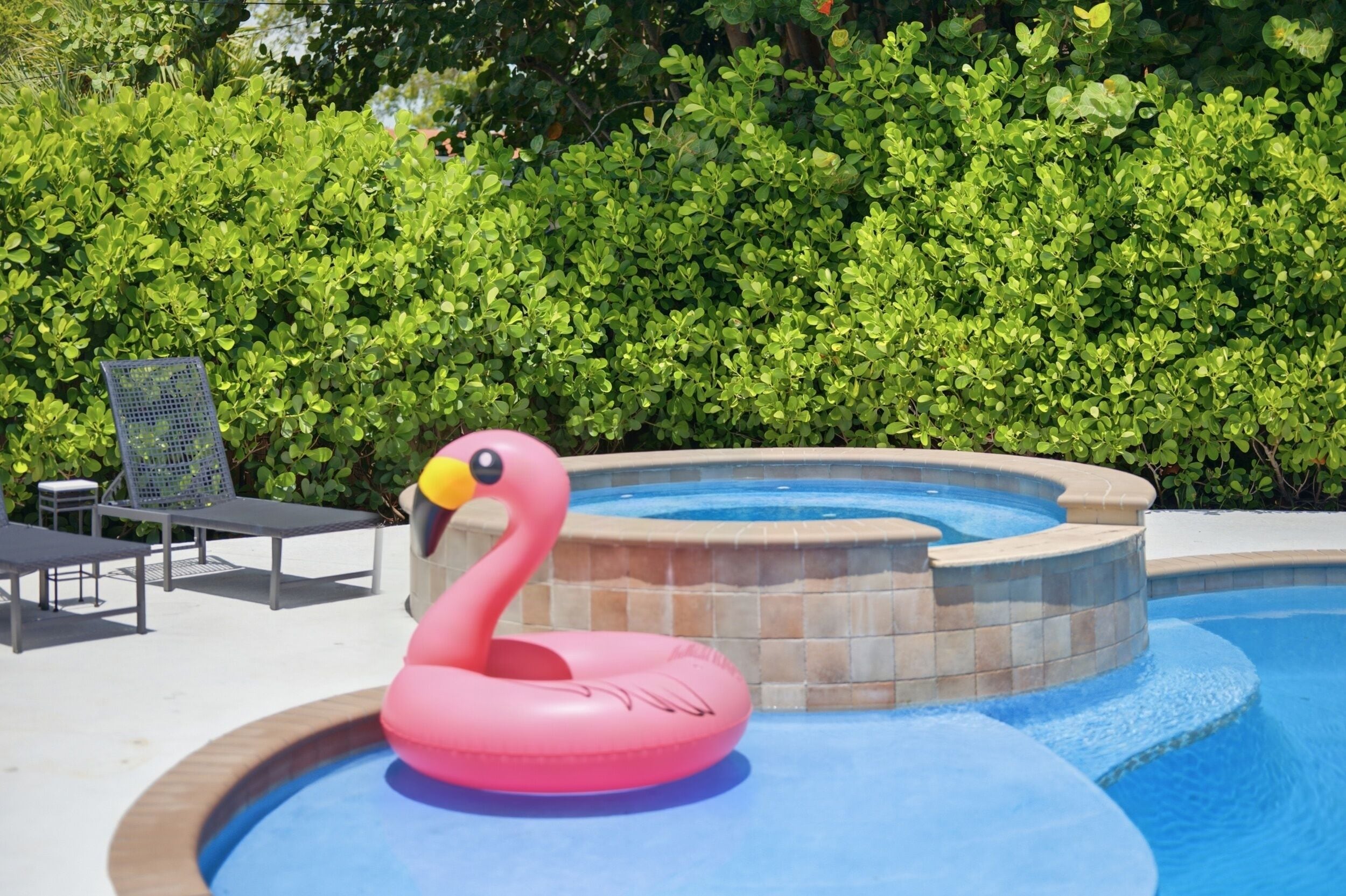 A swimming pool with a pink flamingo float and a hot tub, surrounded by green foliage.
