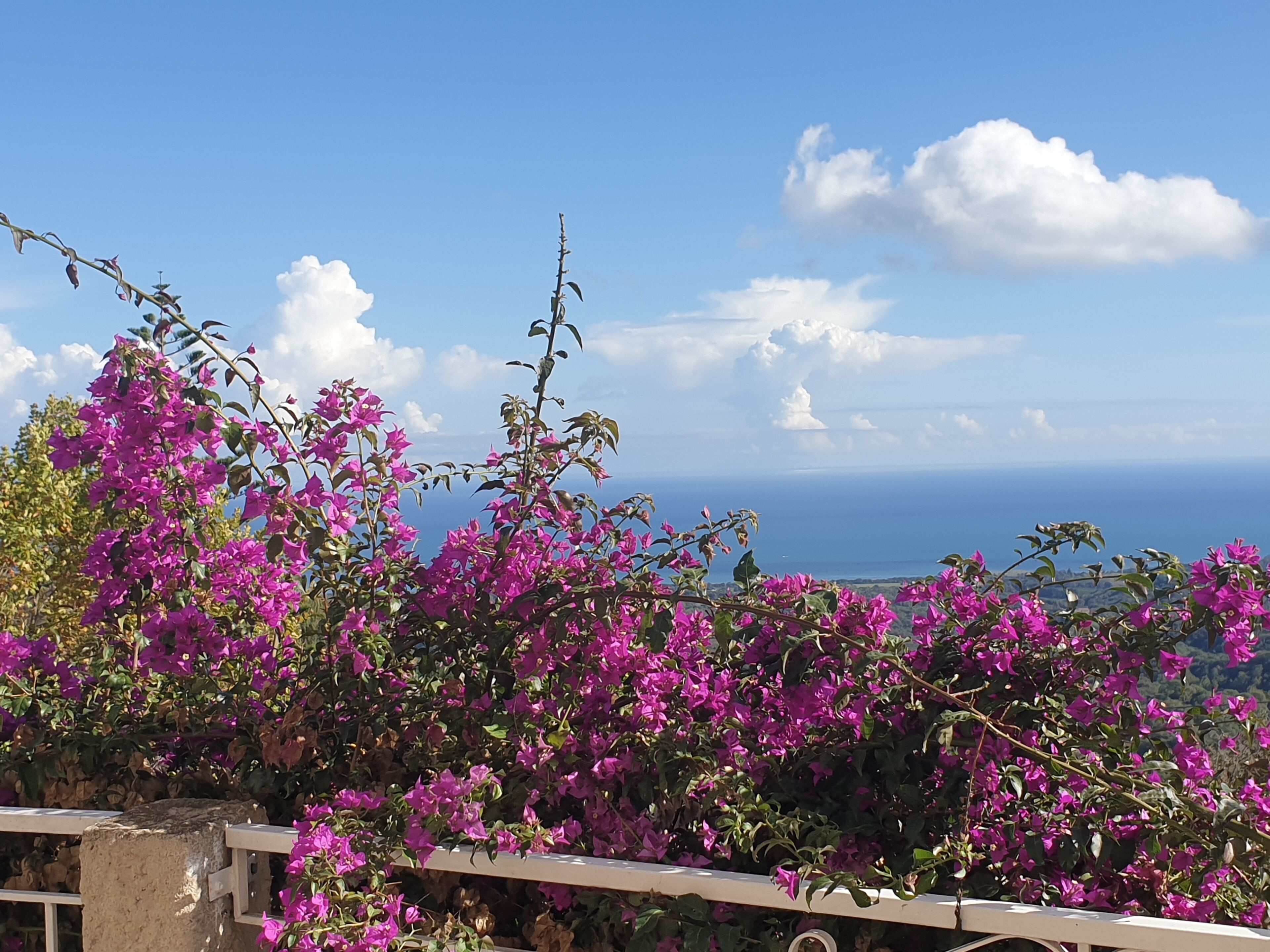Family Quadruple Room, Balcony, Sea View | Free WiFi