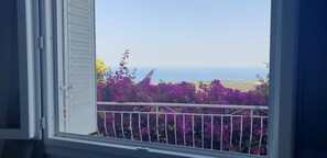 Vista desde la habitación