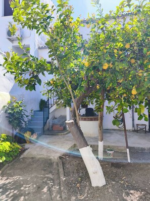 Áreas de la propiedad