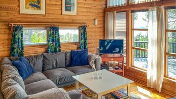 Smart-TV, Kamin