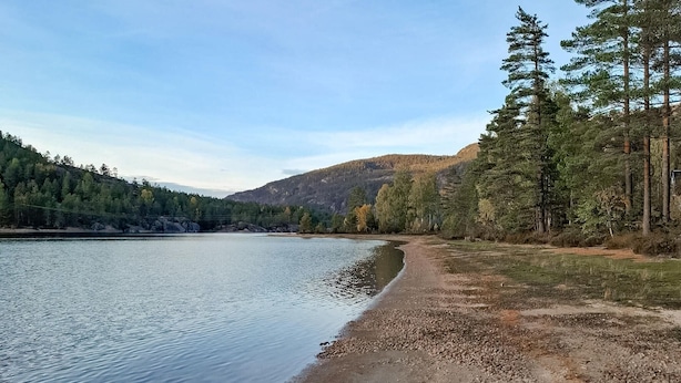 A lakeside view with a pebbly beach, dense forest, and hills in the background.