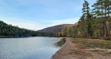 4 bedroom beautiful home in Fyresdal