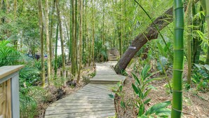 A wooden boardwalk through a bamboo forest. - Private Beach + Outdoor Oasis: Home in St Pete! (St. Petersburg)