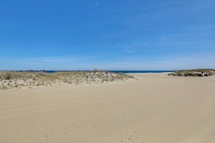 A wide sandy beach with dunes and sparse vegetation.