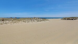 A wide sandy beach with dunes and sparse vegetation. - Walk to Ocean Grove Beach: Apt in New Jersey (Ocean Grove)