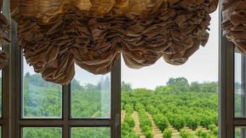 Villa | 7 bedrooms, Internet