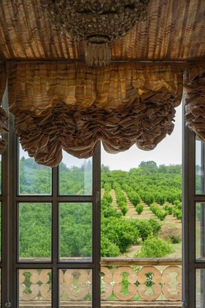 A room with large windows overlooking a vineyard. - Torre del Falco Pavilion (Ronciglione)