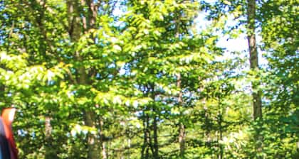 Reconnect This Sept in a Private Mtn Retreat @ Wildflower Ridge