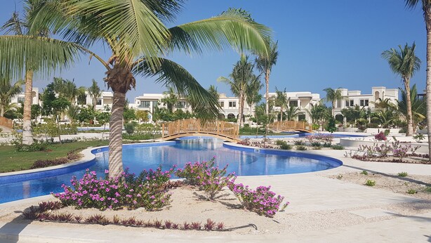 A swimming pool with a wooden bridge, surrounded by palm trees and a landscaped garden with pink flowers. - BAMBOO HAWANA Salalah - Forest Island  (Salalah)