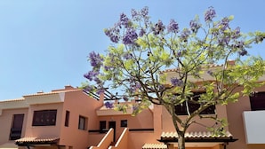 A modern building with a staircase leading to a covered entrance, surrounded by well-maintained hedges and a tree with purple flowers. - Spacious 1-Bedroom Apartment with Private Rooftop & Sunny Terrace (Quarteira)