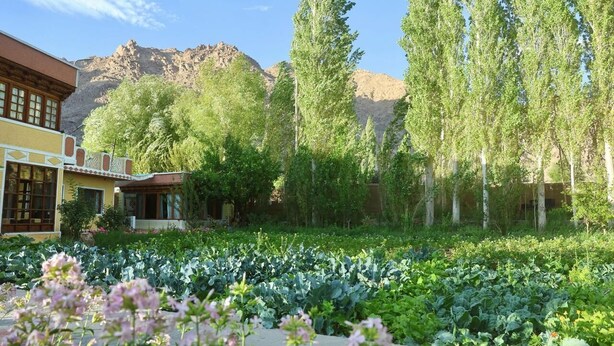 A courtyard with a garden, a building with a yellow facade, and mountains in the background. - Trinity Home Stay (Leh)