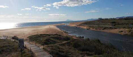 بالقرب من الشاطئ