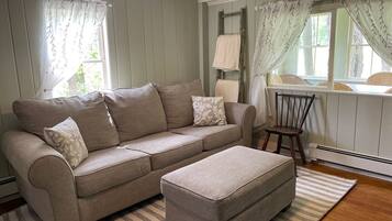 TV, fireplace, books