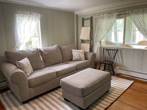 TV, fireplace, books - The Red Country Cottage (Amenia)
