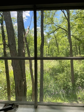 Interior - The Red Country Cottage (Amenia)