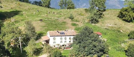 Ulkopuoli
