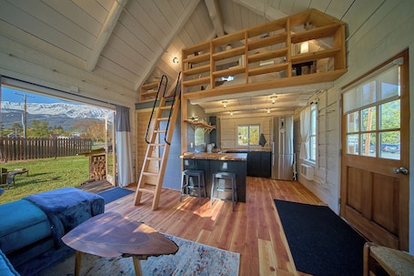 Fireplace, books. EVERYTHING IS NEW! Adorable Tiny Log Cabin with Awesome Views, Walk Everywhere