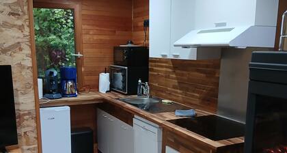 Chalet in the mountains near the center of Le Falgoux hiking, pets welcome