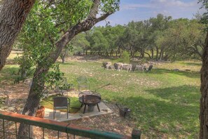 المنطقة المحيطة بالمنشأة