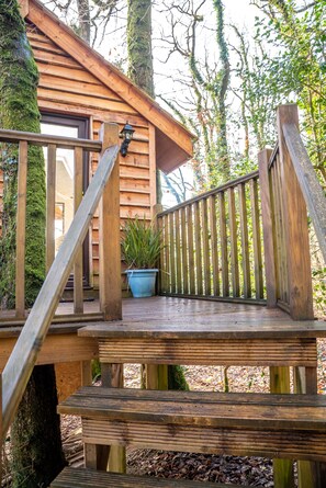 House | Exterior - Stunning Treehouse in Germansweek, No Deposit (Beaworthy)