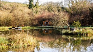 House | Property grounds - Treehouse in Germansweek Near Dartmoor Trails (Beaworthy)