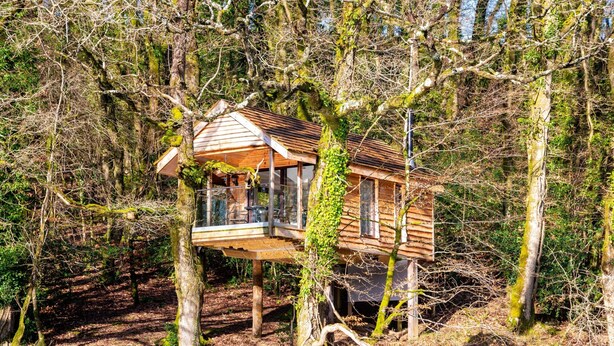House | Exterior - Treehouse in Germansweek Near Dartmoor Trails (Beaworthy)