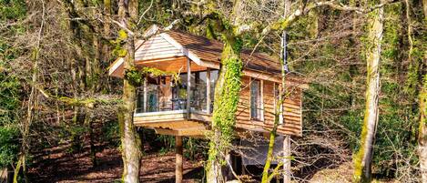 独立别墅 | 外观