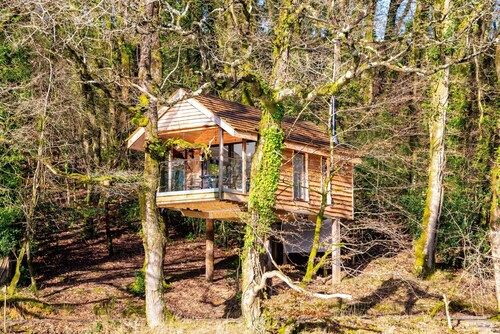 Treehouse in Germansweek Near Dartmoor Trails