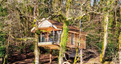 Treehouse in Germansweek Near Dartmoor Trails