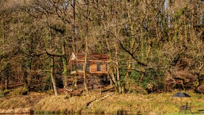 House | Exterior - Treehouse in Germansweek Near Dartmoor Trails (Beaworthy)