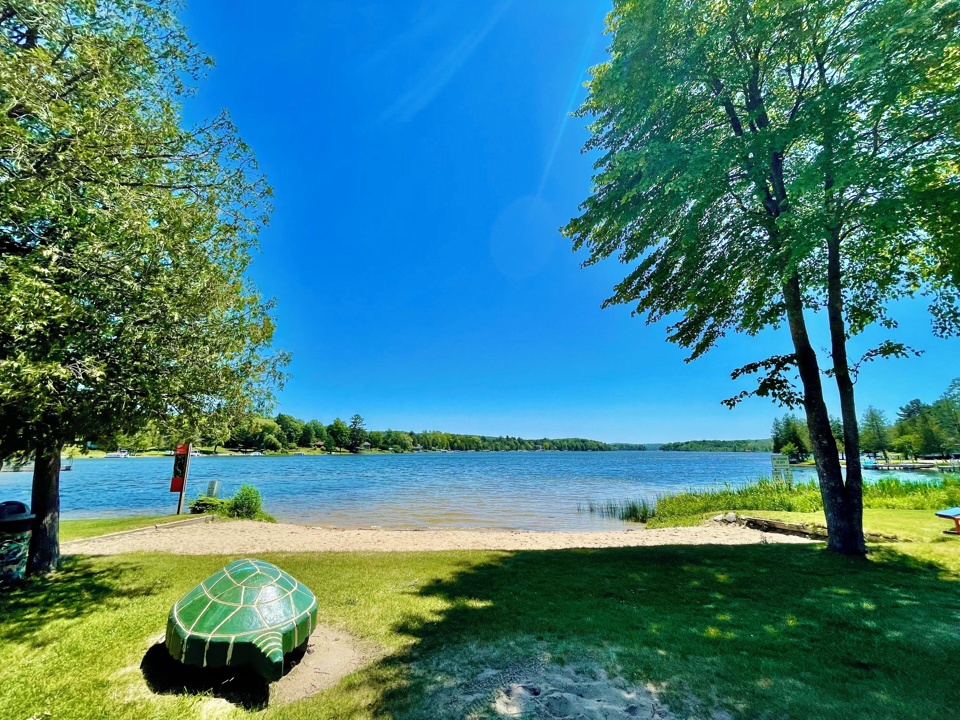 En park vid sjön med ett grönt picknickbord och en skulptur föreställande en sköldpadda på gräsmattan.