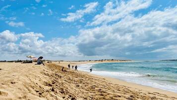 海灘、躺椅、沙灘巾