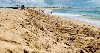 Waterfront beach house