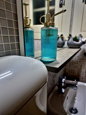 Shower, hair dryer, bidet, towels