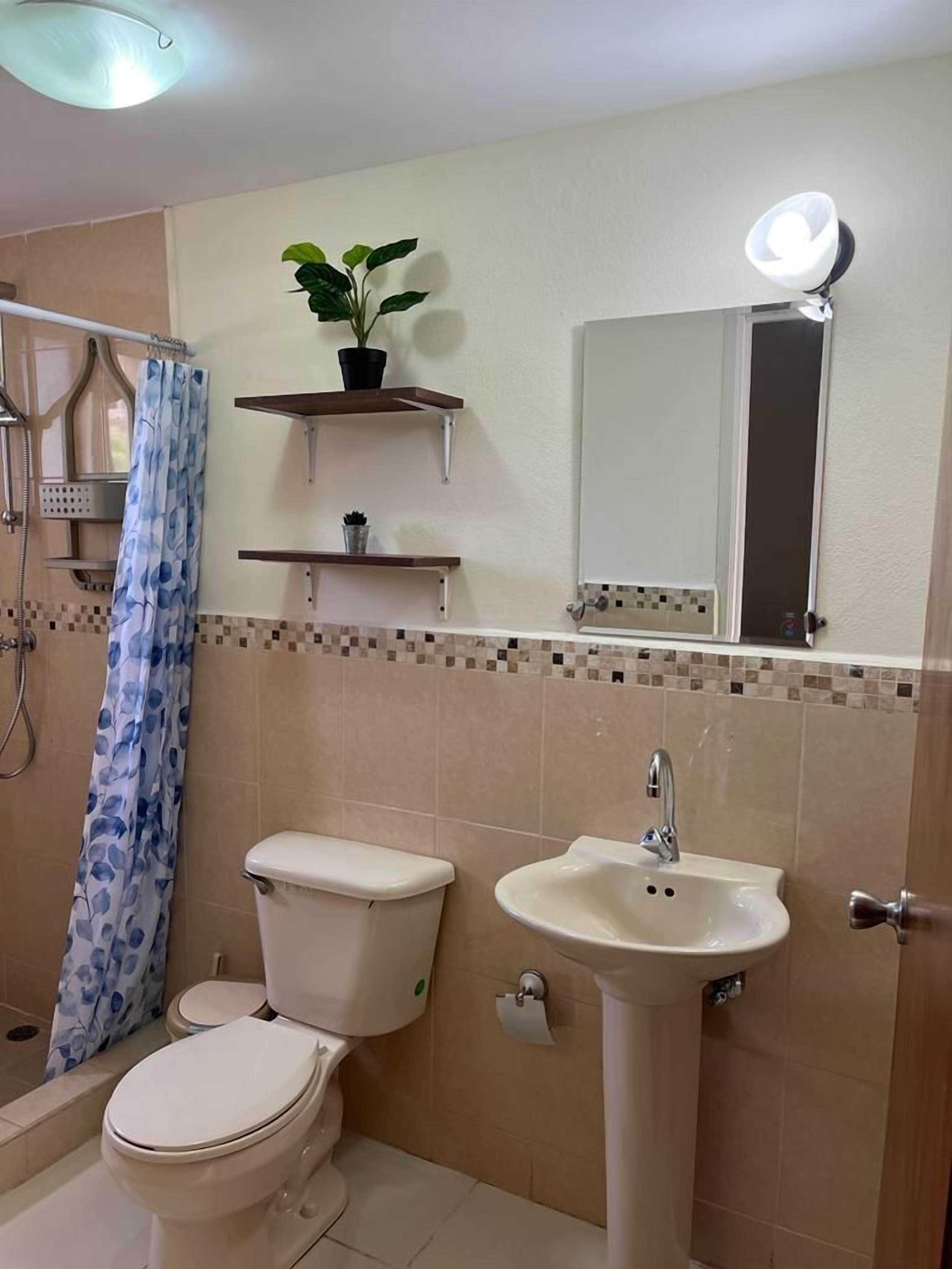 Une salle de bain équipée de toilettes, d’un lavabo, d’une douche et d’un miroir avec éclairage. On y trouve également des étagères avec des plantes et un rideau de douche.