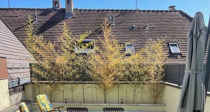 Charming gîte in the heart of the Alsatian vineyards, lovely terrace