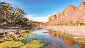 A river with clear water, surrounded by rocky terrain and palm trees.