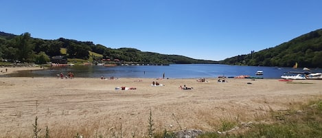 ビーチ